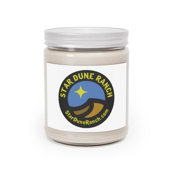 Aromatherapy Candles, 9oz