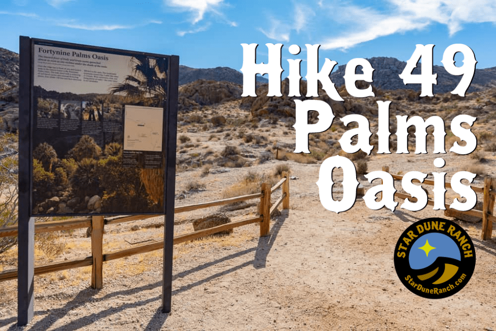 HIKE 49 PALMS OASIS ADVENTURES NEAR STAR DUNE RANCH
