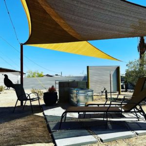 Star Dune Ranch Cowboy Pool Looking towards the Giant Quail Mural Star Dune Ranch Cowboy Pool Looking towards the Giant Quail Mural